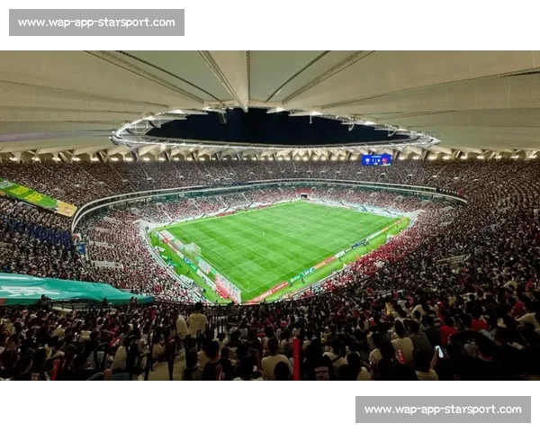 昆山台胞助威团燃爆苏超 万人赛场见证两岸情谊升温